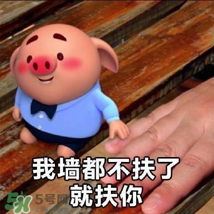 豬小屁表情包是什么？豬小屁表情包為什么這么火？