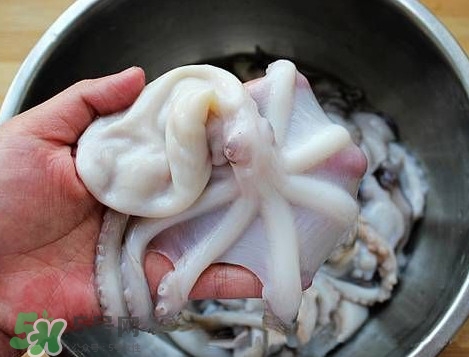 八帶魚(yú)怎么洗？八爪魚(yú)怎么處理干凈