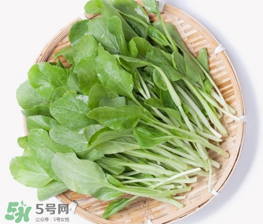 雞毛菜有什么營養(yǎng)價值？雞毛菜的功效與作用