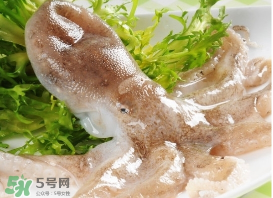 八帶魚(yú)怎么洗？八爪魚(yú)怎么處理干凈