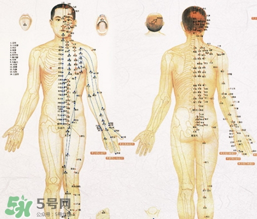 貼三伏貼可以吃西瓜嗎？貼三伏貼吃西瓜有什么害處