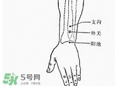 三伏貼能治過敏性鼻炎嗎？三伏貼治過敏性鼻炎貼哪里？