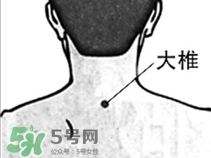 三伏貼能治過敏性鼻炎嗎？三伏貼治過敏性鼻炎貼哪里？