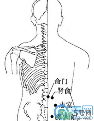 三伏灸可以治腰腿痛嗎？三伏灸治腰腿痛灸哪里》