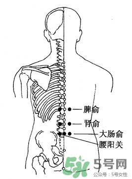 三伏灸可以治腰腿痛嗎？三伏灸治腰腿痛灸哪里》