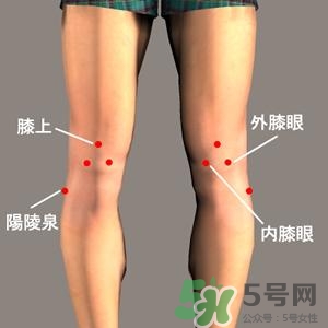 三伏灸可以治腰腿痛嗎？三伏灸治腰腿痛灸哪里》