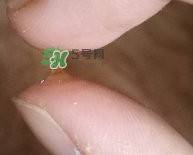 SKINCEUTICALS修麗可夜間精華怎么樣_好用嗎？