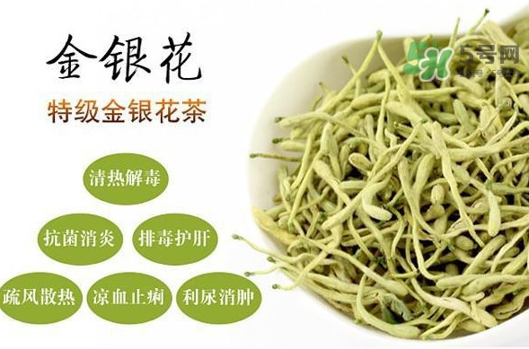 金銀花茶是去火的嗎？金銀花茶有什么功效與作用