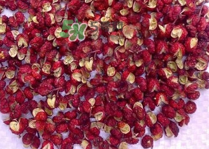 花椒水泡腳能降血壓?jiǎn)幔颗菽_是干花椒好還是鮮花椒好