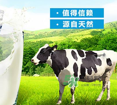 牛初乳是奶粉嗎？牛初乳跟奶粉的區(qū)別