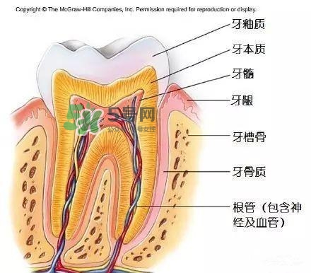 regenerate牙膏多少錢(qián)？regenerate牙膏專(zhuān)柜價(jià)格