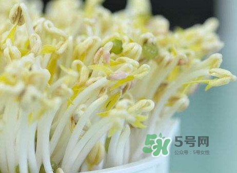 豆芽什么季節(jié)吃？豆芽什么時(shí)候有