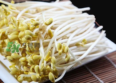 豆芽有根好還是無(wú)根好？無(wú)根豆芽與有根豆芽區(qū)別