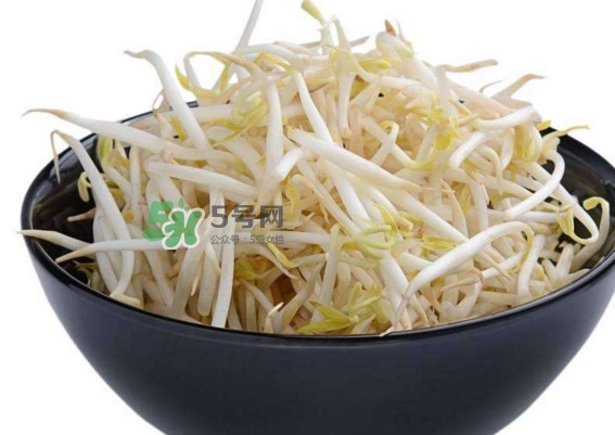 豆芽什么季節(jié)吃？豆芽什么時(shí)候有