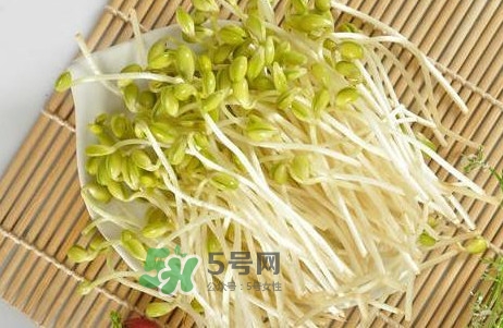 豆芽有根好還是無(wú)根好？無(wú)根豆芽與有根豆芽區(qū)別