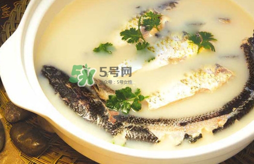 黃蜂魚(yú)怎么煮好吃？黃蜂魚(yú)燉湯孕婦可以喝嗎