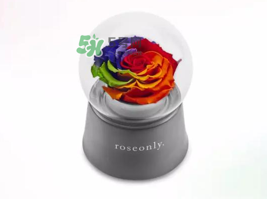 roseonly音樂盒多少錢？roseonly音樂盒歌曲名