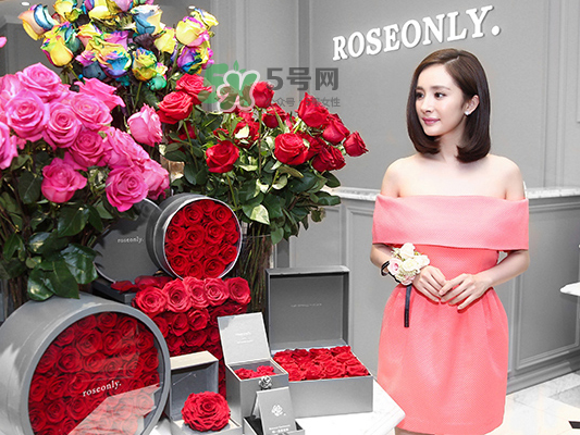 roseonly音樂盒多少錢？roseonly音樂盒歌曲名