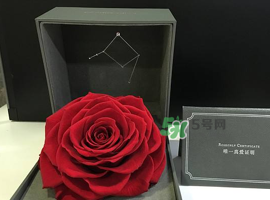 roseonly永生花可以保存多久？roseonly永生花保養(yǎng)