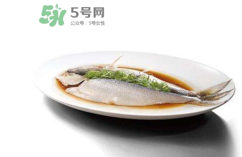 鰣魚還有嗎？長(zhǎng)江鰣魚滅絕了嗎