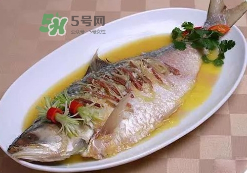 鰣魚怎么讀？鰣魚是什么魚