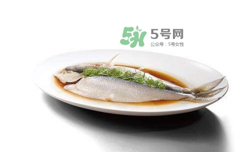 鰣魚刺多嗎？鰣魚可以養(yǎng)殖嗎