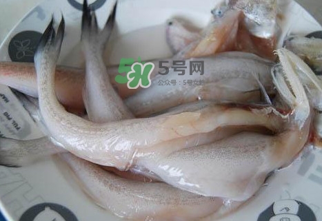 龍頭魚怎么殺？龍頭魚怎么處理？