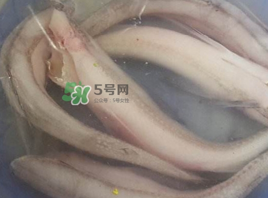 買龍頭魚怎么挑選？冰凍龍頭魚怎么去內(nèi)臟