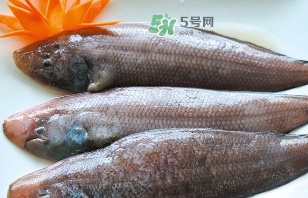 龍利魚怎么做給寶寶吃？龍利魚怎么處理