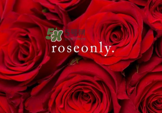 2017七夕禮盒roseonly多少錢？roseonly巨型玫瑰禮盒多少錢？