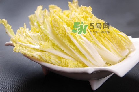 娃娃菜是什么季節(jié)的？娃娃菜什么時候種植