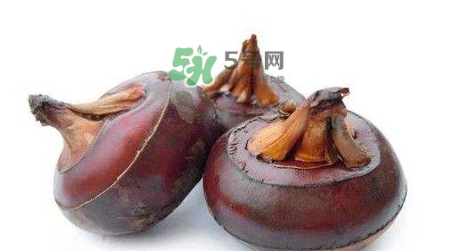 野荸薺怎么吃？野荸薺的食用功效