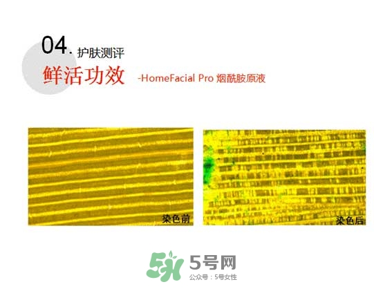 homefacialpro煙酰胺原液怎么樣？hfp煙酰胺原液好用嗎