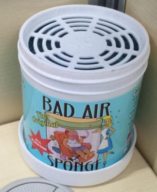 Bad Air Sponge有用嗎？Bad Air Sponge效果如何？