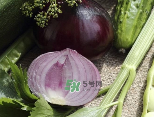 皮芽子發(fā)芽了可以吃嗎？新疆人為什么都愛吃皮芽子