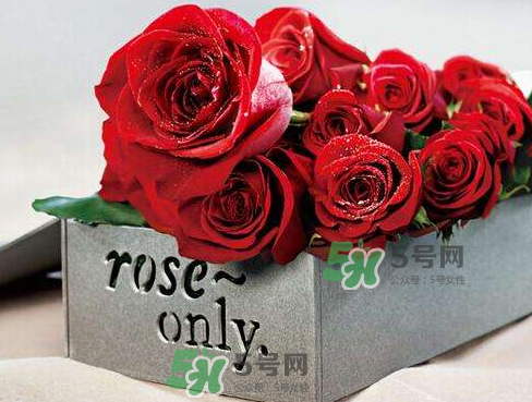 roseonly怎么看真假？roseonly真假對比