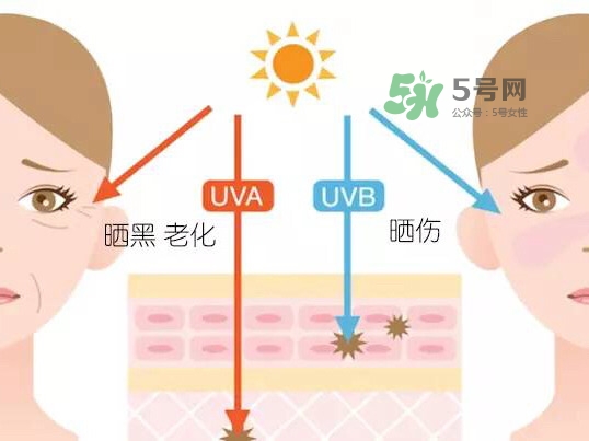 uva uvb是什么意思 防曬小知識(shí)科普