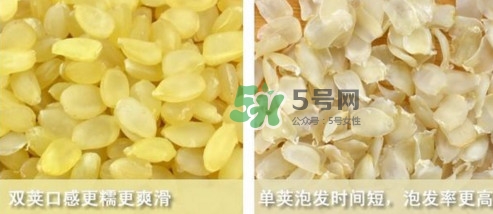 皂角米吃了有什么好處？皂角米的功效與作用