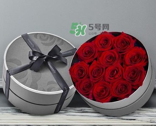 roseonly怎么讀？roseonly怎么讀在線讀？