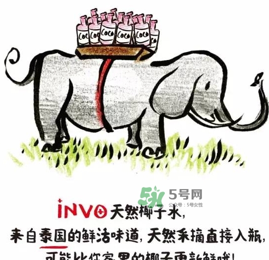 invo椰子水多少錢？invo椰子水好喝嗎？