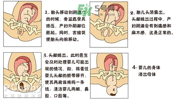 生孩子的過(guò)程是怎樣的？生孩子的真實(shí)過(guò)程