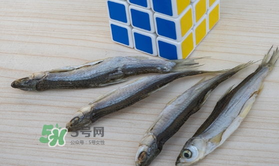 刁子魚是發(fā)物嗎？刁子魚是不是發(fā)物