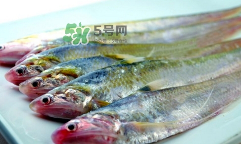 刁子魚是秋刀魚嗎？刁子魚是海魚嗎？