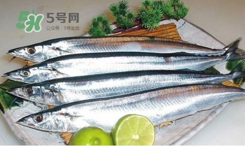 沙丁魚(yú)和秋刀魚(yú)有什么不一樣？秋刀魚(yú)和沙丁魚(yú)的區(qū)別