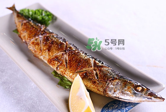 秋刀魚怎么處理？秋刀魚怎么挑選