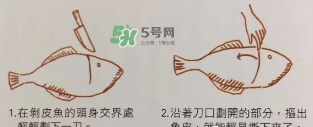 剝皮魚為什么要剝皮？剝皮魚的皮有毒嗎？