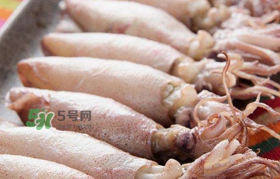 海兔子是小魷魚嗎？海兔子和魷魚的區(qū)別