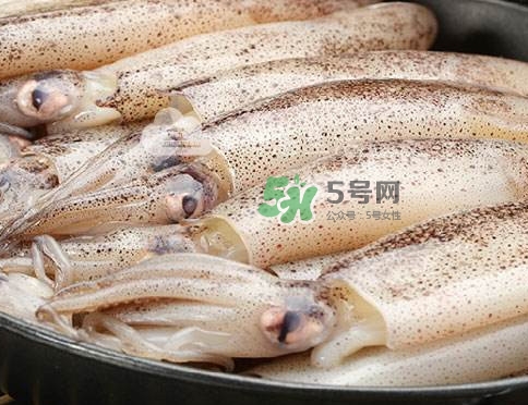 筆管魚是什么魚？筆管魚怎么吃