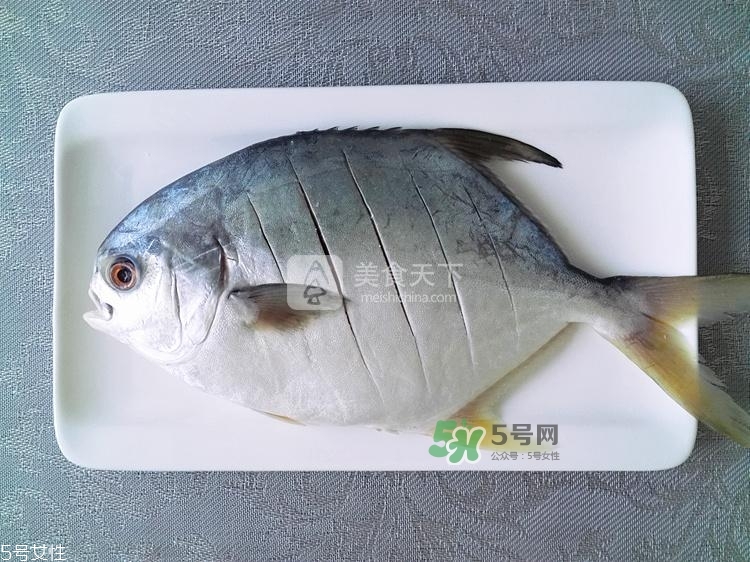 金鯧魚的營養(yǎng)價值 金鯧魚的功效作用