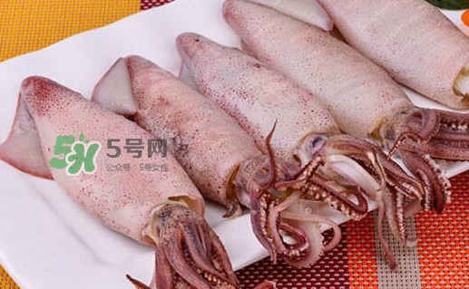 筆管魚怎么做好吃？筆管魚有什么營養(yǎng)